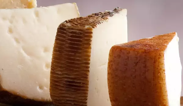 Schweizer Käse