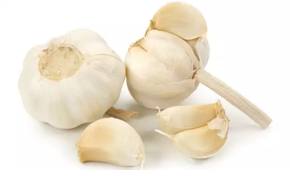 Knoblauch