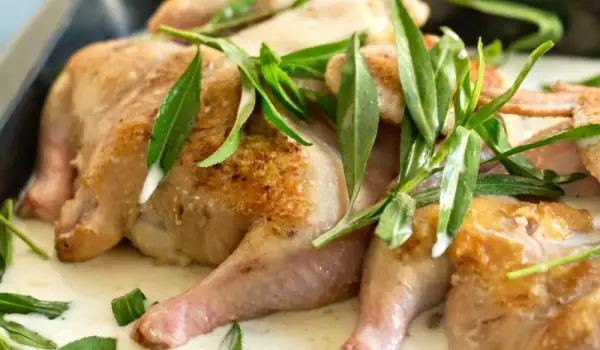Hähnchen mit Estragon