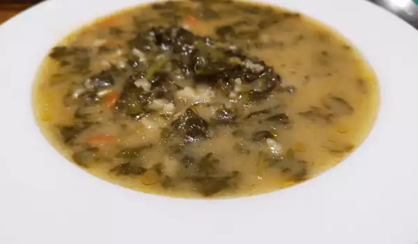 Suppe aus frischem Spinat