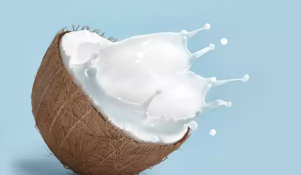 Kokosnuss und Kokosmilch