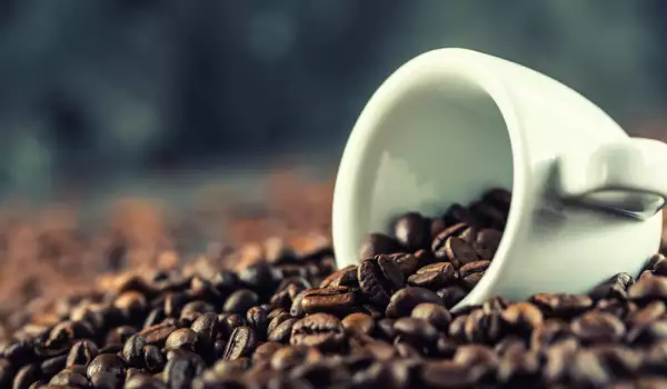 Robusta Kaffee - was sie wissen müssen