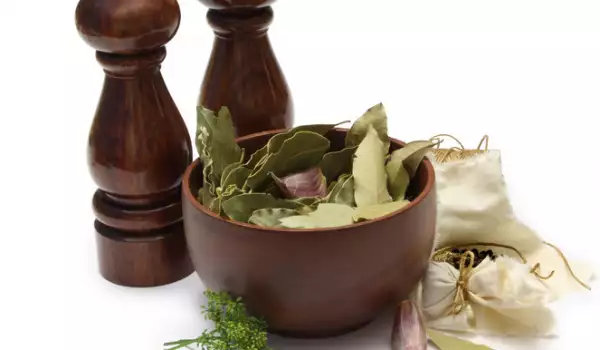 Lorbeerblätter