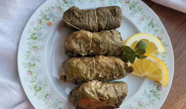 Griechische Dolmades