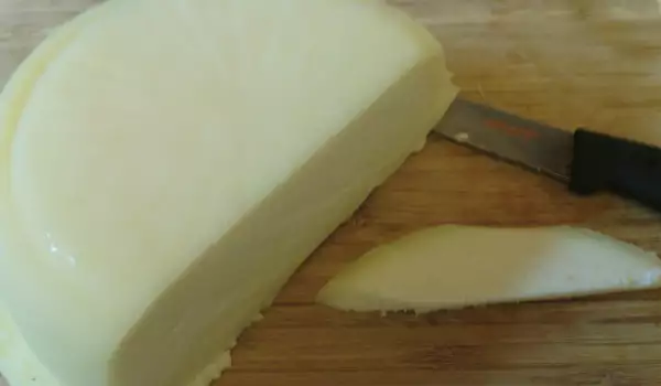 Köstlicher hausgemachter Käse