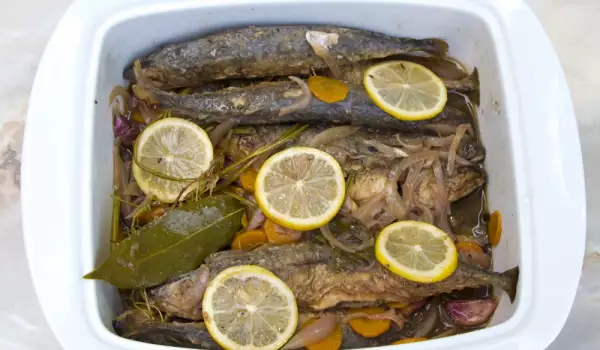 Fisch mit Lorbeerblätter