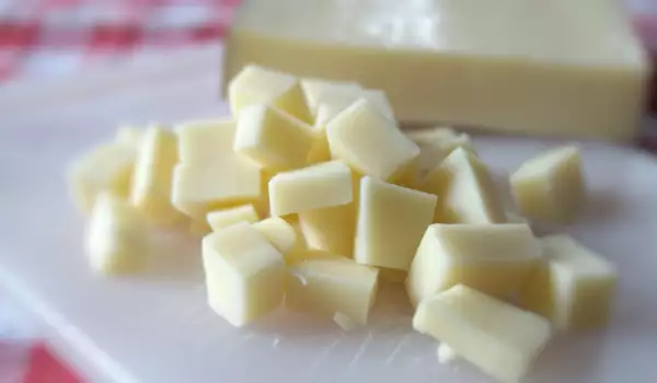 Fontina Käse