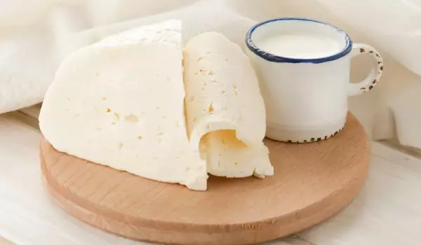 Ziegenmilch- und Käse