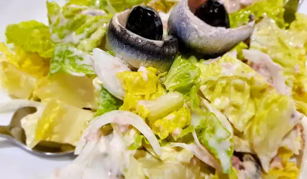 Grüner Salat mit Thunfisch und Anchovis