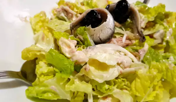 Grüner Salat mit Thunfisch und Anchovis