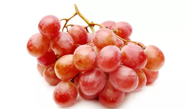 Rote Weintrauben