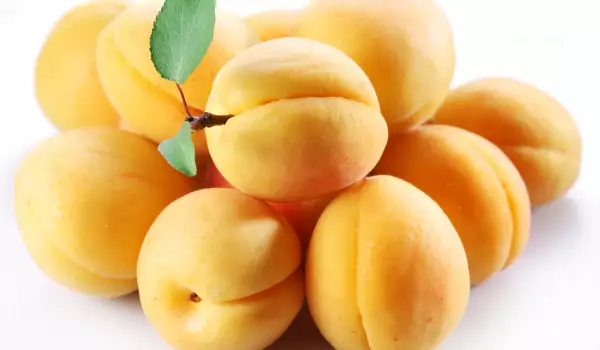 Aprikosen Früchte