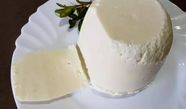Hausgemachter Käse aus Schafsmilch