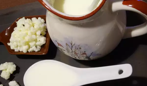 Kefir