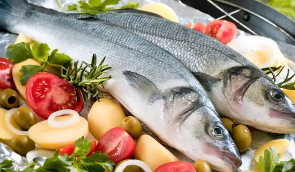 Wolfsbarsch Fisch