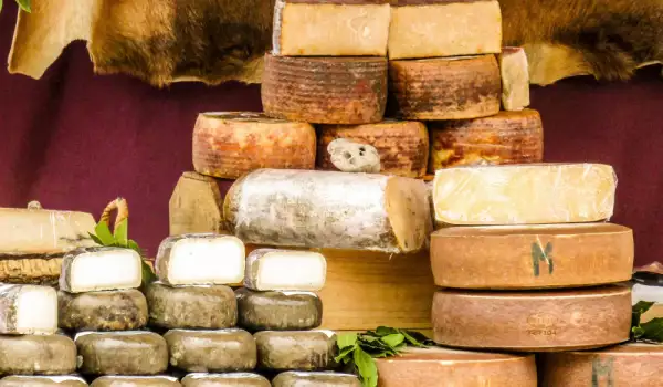 Manchego Schafskäse