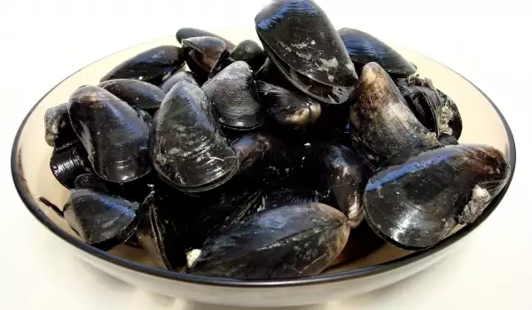 Geschlossene Muscheln