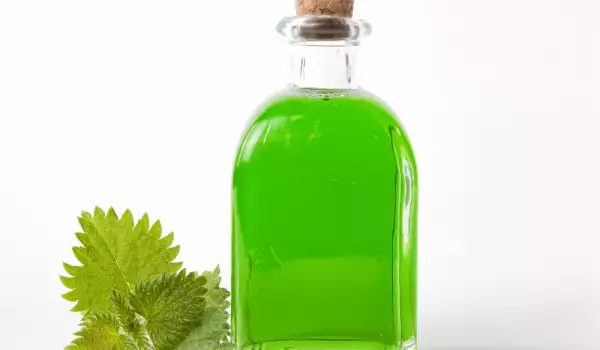 Brennesseln gegen Haarausfall