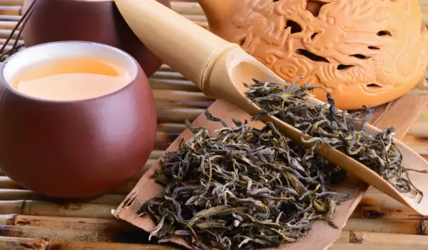 Oolong Tee