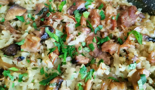 Putenfleisch mit Pilzen und Reis