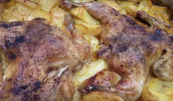 Hähnchen mit Kartoffeln im Ofen auf rustikale Art