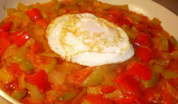 Manchego Käse