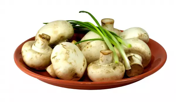 Pilze sind eine gute Quelle für Vitamin B1
