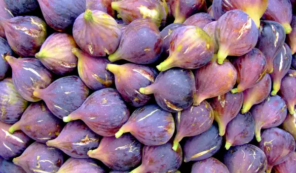 Frische Feigen