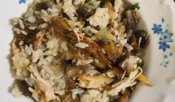 Putenfleisch mit Reis und Pilzen