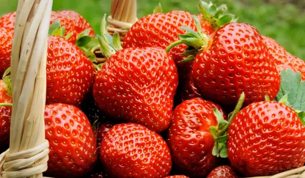 Korb mit Erdbeeren