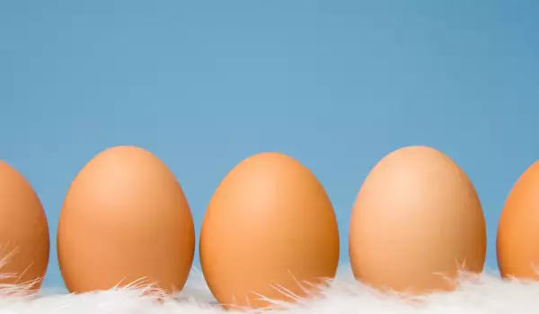 Eier