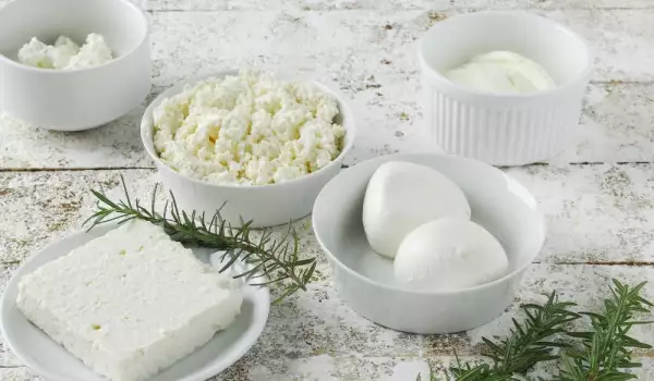 Ricotta und Frischkäse