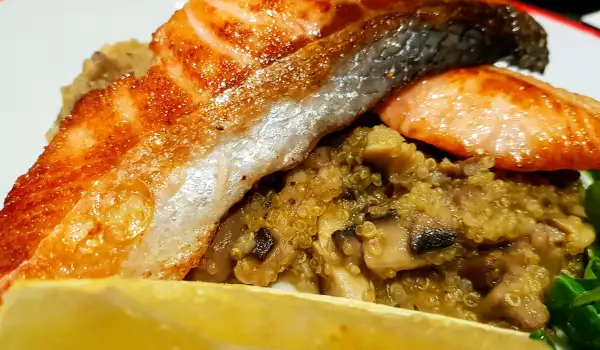 Lachsfilet auf einem Quinoa Canapé
