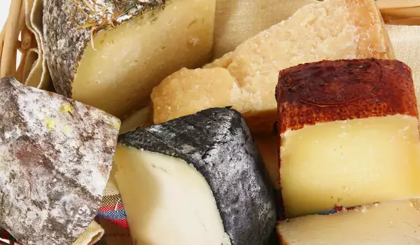 Italienischer Käse