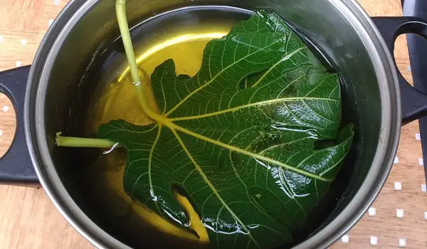 Feigenblättersirup