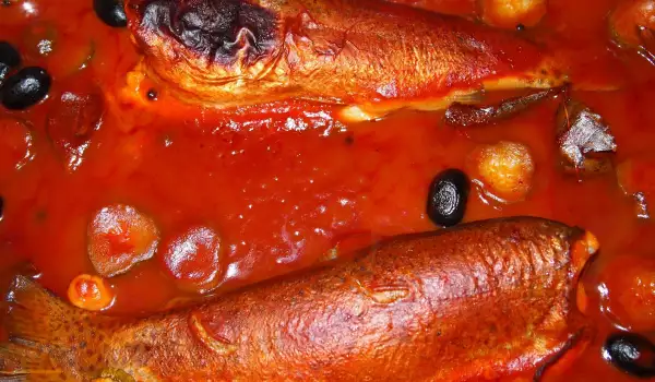 Makrelen mit Tomatensoße im Ofen