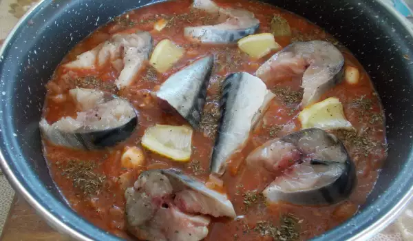 Makrele mit Tomatensoße und Zwiebeln im Ofen