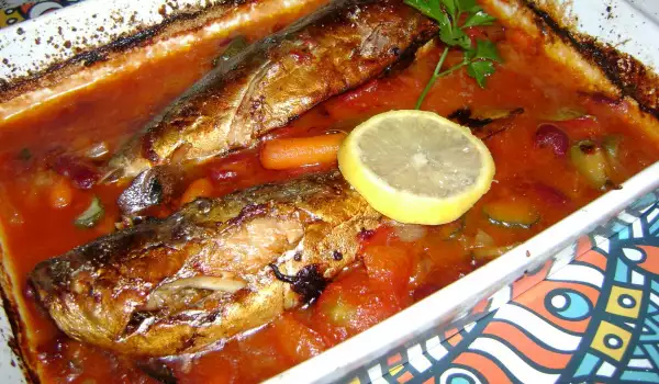 Makrele in Tomatensoße mit Bohnen und Essiggurken