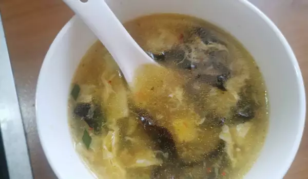 Chinesische scharf-saure Suppe