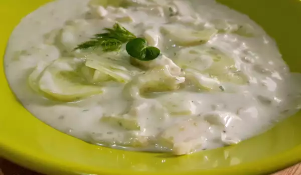 Türkischer Joghurtsalat mit Fenchel