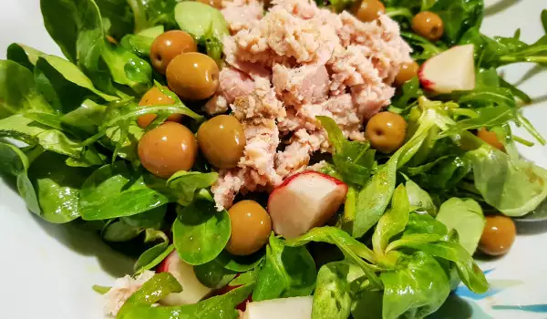 Salat mit Thunfisch, Radieschen, Rucola und Feldsalat