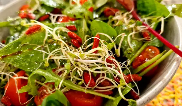 Grüner Salat mit Goji Beeren und Brokkolisprossen