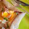 Bretonische Galettes mit Schinken
