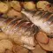 Dorade im Ofen