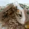 Gefüllte Calamari mit Reis und Meeresfrüchten