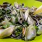 Donax (Dreiecksmuscheln) mit Knoblauch und Petersilie
