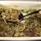 Schweinesteaks mit Pilzen und Schmelzkäse