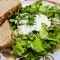 Gesunder Salat mit Portulak und Joghurtsoße