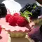 Gesunde Mini Cheesecakes ohne Backen