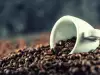 Robusta Kaffee - was sie wissen müssen
